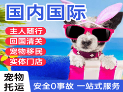 中卫沙坡头机场托运国际宠物托运 【国